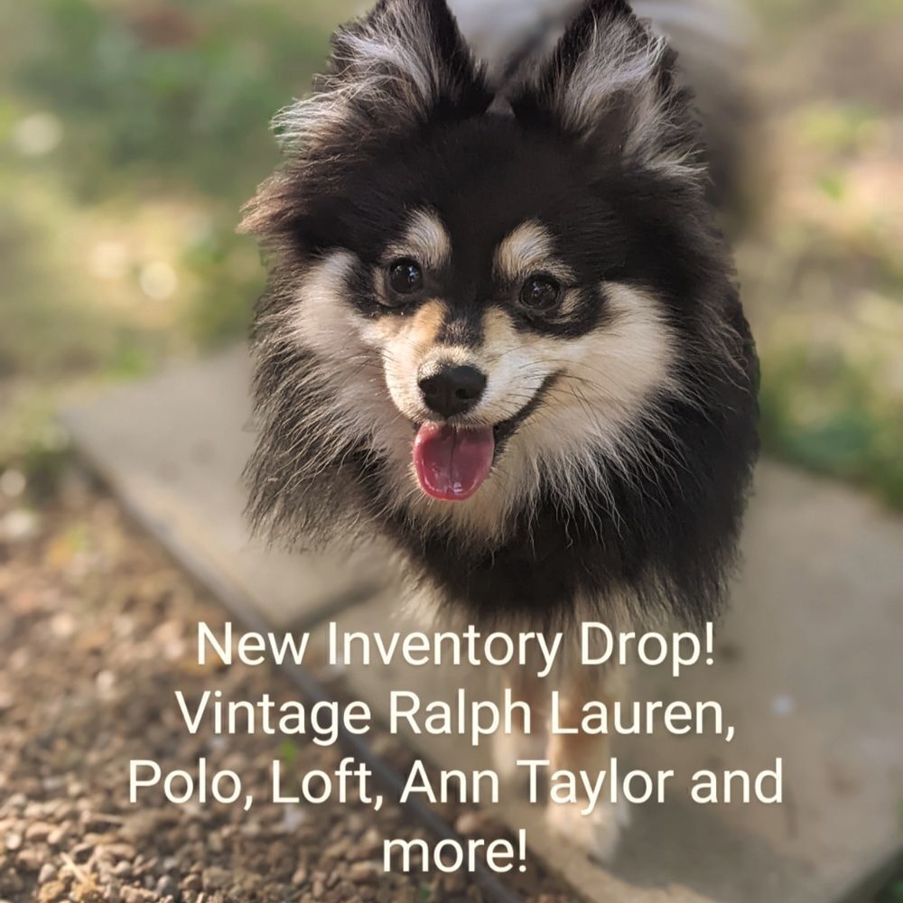 NEW INVENTORY, vintage Ralph Lauren, Polo, and Taylor, Loft and more!!